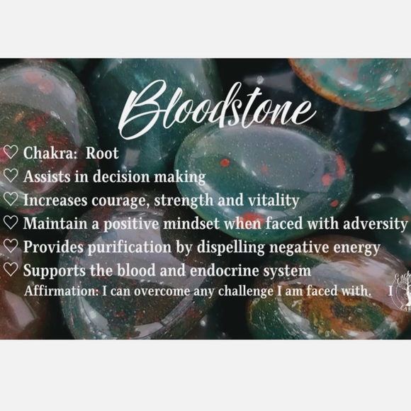 Bloodstone Mala - Picture 3 of 3